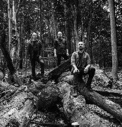 Fotografia czarno-biała. Członkowie zespołu ARRM pozują w lesie. Jeden z nich siedzi na przewróconym drzewie.